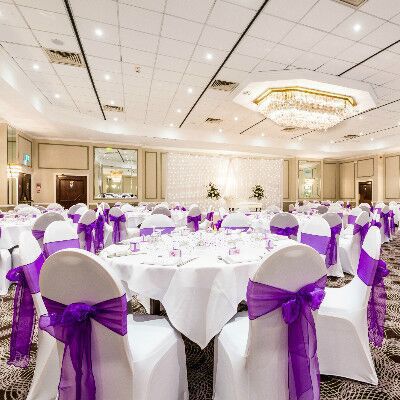 Our Suites
